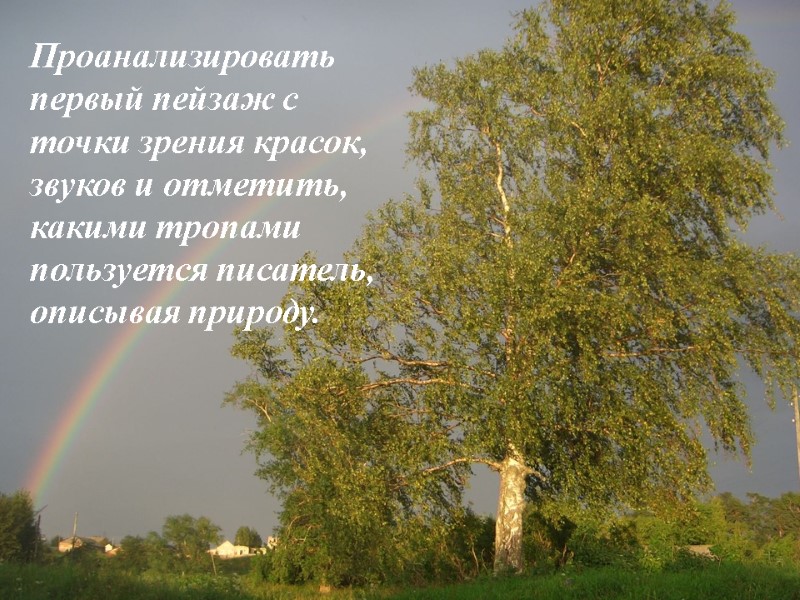 Проанализировать первый пейзаж с точки зрения красок, звуков и отметить, какими тропами пользуется писатель,